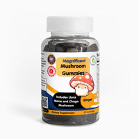 Magnificent Mushroom Extract Complex - Cognitive Supplements -