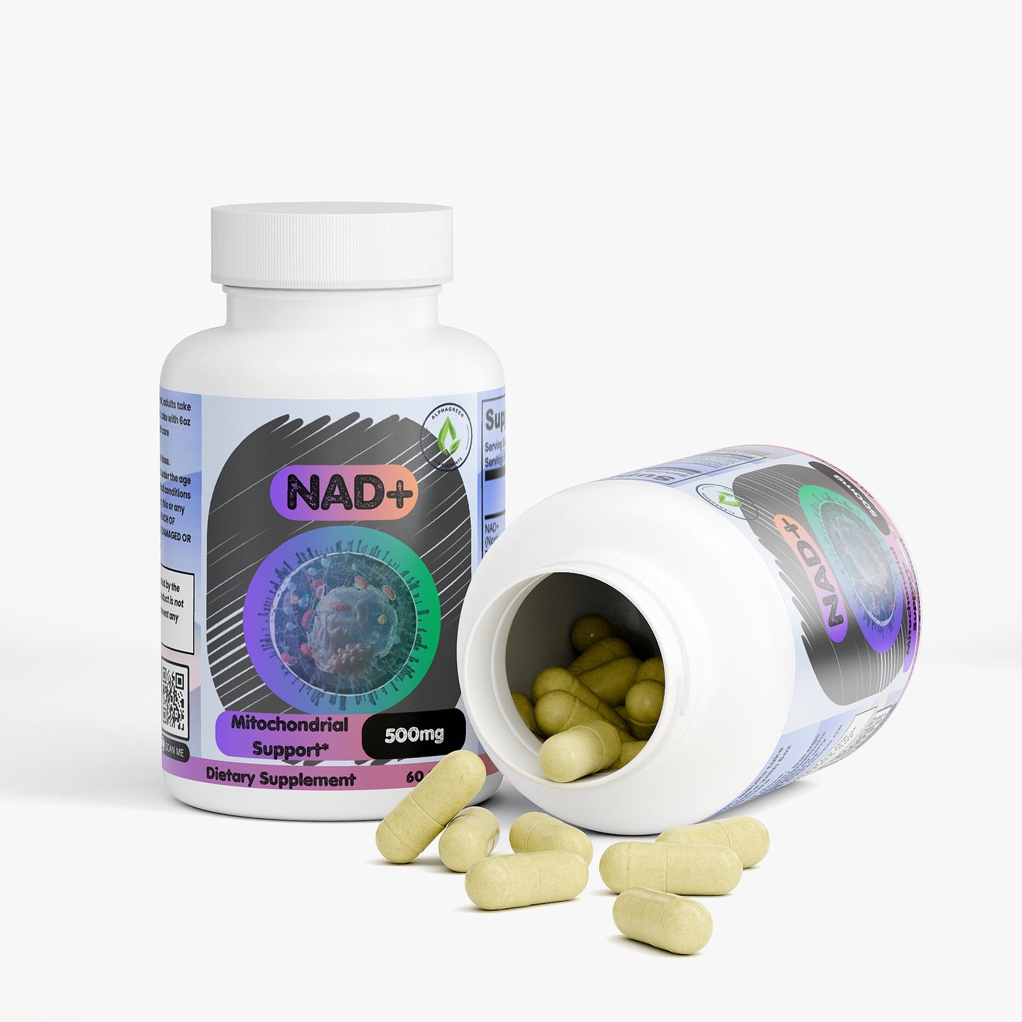 NAD+ - Metabolism and Longevity