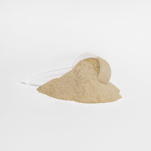 Advanced 100% Whey Protein Isolate (Vanilla) - 34g