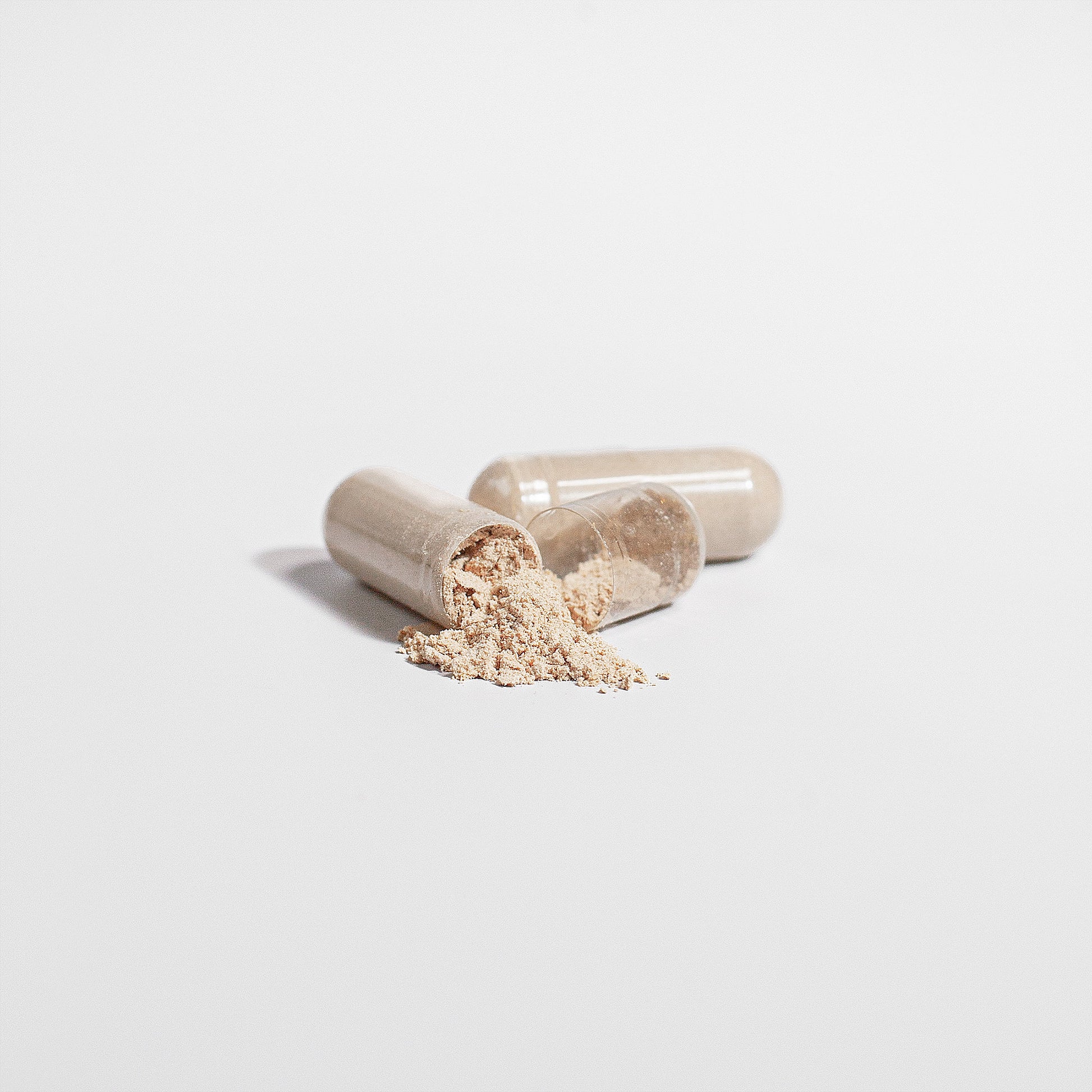 Chaga Mushroom - Neurogenesis
