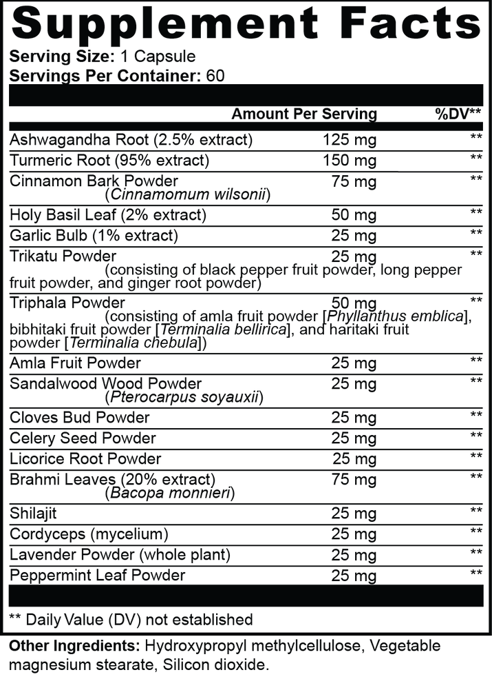 Omega Health Potion - Ayurvedic Complex with Shilajit