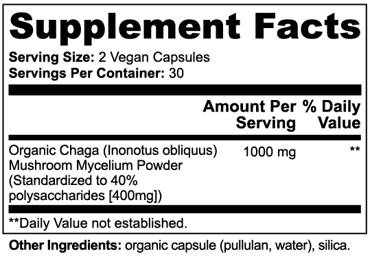 Chaga Mushroom - Neurogenesis